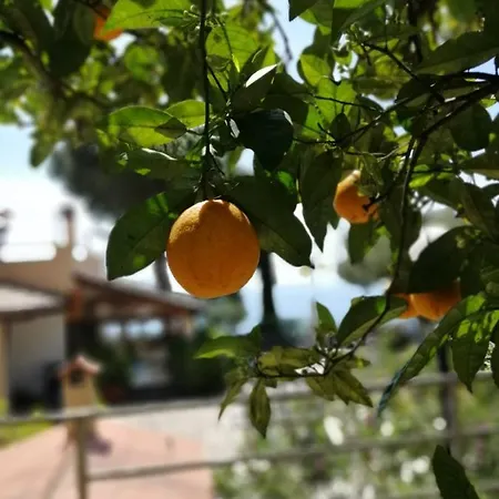 Bed & Breakfast Incanto 4*