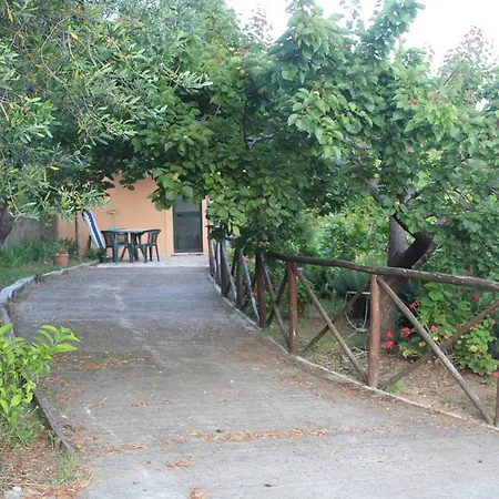 住宿加早餐酒店 音坎托别墅住宿加早餐旅馆